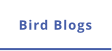 Bird Blogs