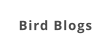 Bird Blogs