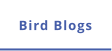 Bird Blogs