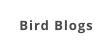 Bird Blogs