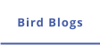 Bird Blogs