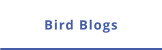 Bird Blogs