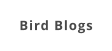Bird Blogs