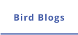 Bird Blogs