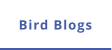 Bird Blogs